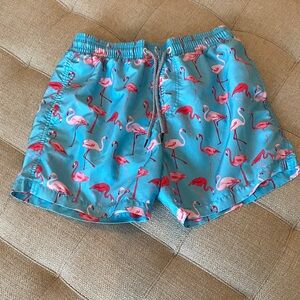 Blue Flamingo Print Swim Shorts